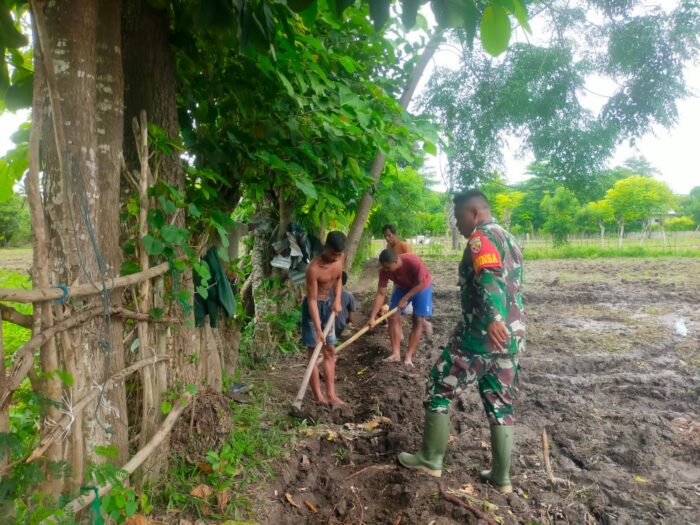 Babinsa Koramil 03/Pahunga Lodu Turun Langsung Bantu Petani Bangun Saluran Irigasi