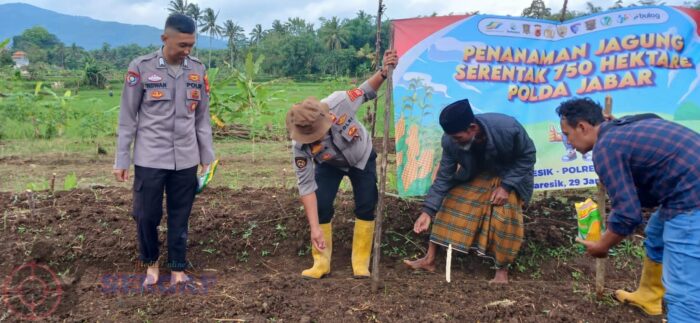 Dukung Swasembada Pangan Polsek Sukaresik Pimpin Langsung Tanam Jagung Di Daerah Desa Banjarsari