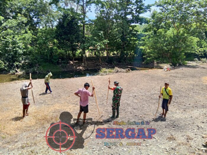 Dukung Ketahanan Pangan, TNI AD Dampingi Petani Padi Ladang di Sumba Timur