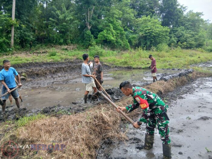Babinsa Tabundung Bantu Petani Bangun Pematang Sawah di Desa Billa