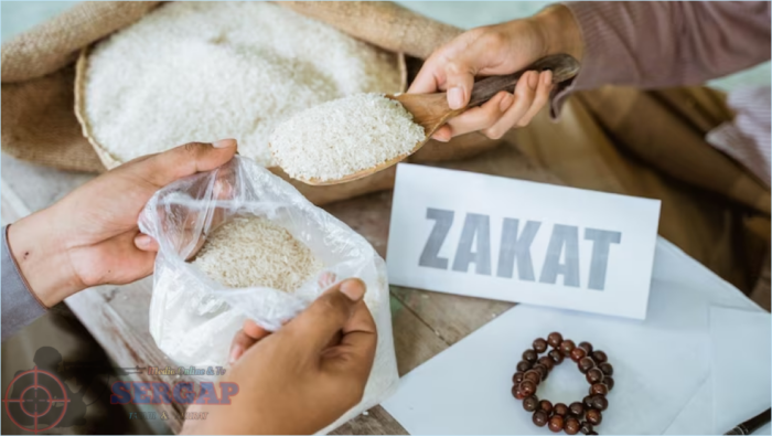 waktu_menunaikan_zakat_mal