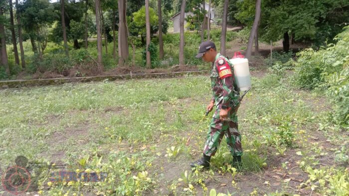 TNI Turun ke Lahan, Babinsa Waingapu Bantu Petani Siapkan Tanaman Palawija