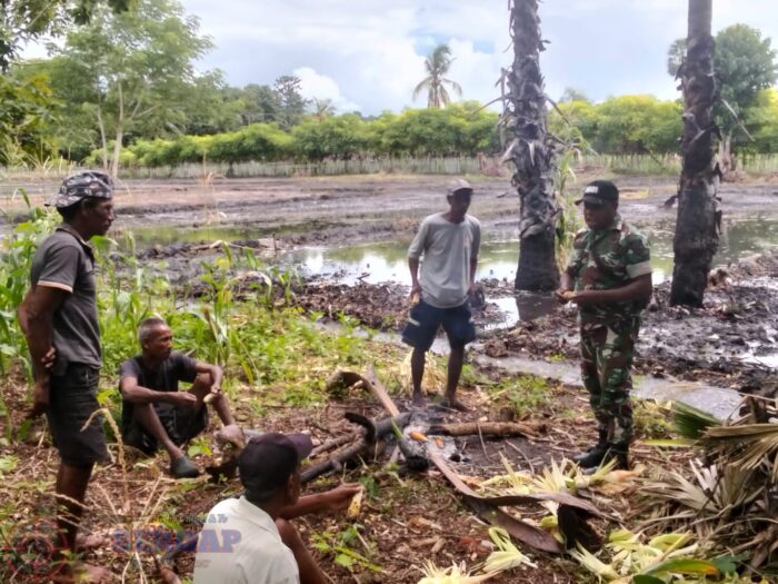 Dukung Ketahanan Pangan, Babinsa Aktif Dampingi Petani