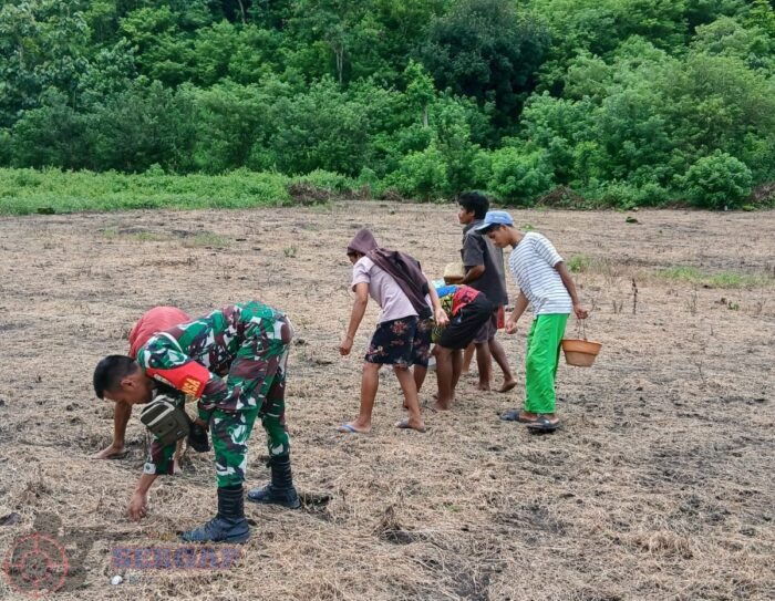 Dari Lapangan ke Ketahanan Pangan, Babinsa Aktif Dampingi Warga
