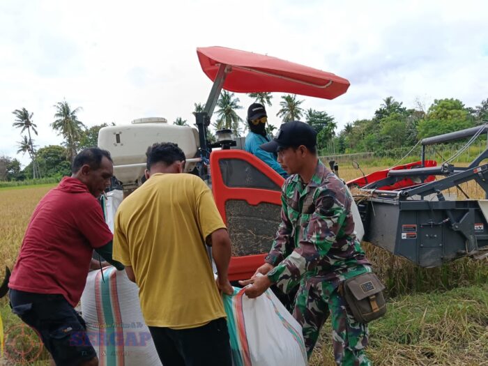 TNI Dukung Modernisasi Pertanian di Sumba Timur Lewat Pendampingan Petani