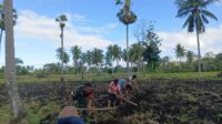Babinsa Wulla Waijelu Dampingi Warga Buka Lahan Sawah Baru di Desa Paranda