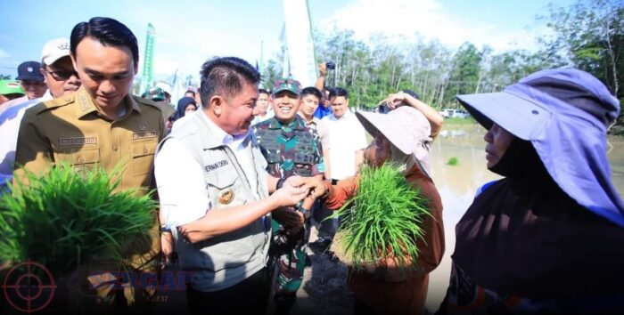 Hadapi El Nino, OKI Jadi Lokus Utama Percepatan Tanam Padi Sumsel, Target 111 Ribu Hektare
