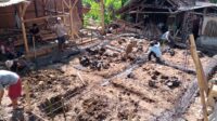 Dugaan Mark Up Material Program BSPS Muncul di Bantarujeg, Pendamping Bungkam