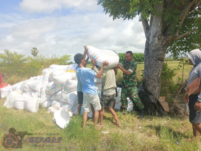 Komsos di Sawah, Babinsa Pererat Kedekatan dengan Petani Kaliuda