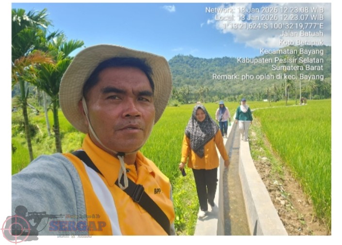 Menghasilkan Beras Berkualitas Terbaik Petani Harapkan Penggiling Padi Modern