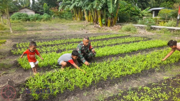 Dukung Ketahanan Pangan, Babinsa Bantu Petani Bersihkan Lahan Sayur