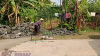 Peran Penyuluh dan BPP Dipertanyakan, SPK Jitut Terbit Saat Pekerjaan Sulit Dilaksanakan