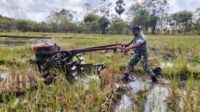 Turun ke Sawah, Babinsa Dampingi Petani Percepat Masa Tanam di Lambakara