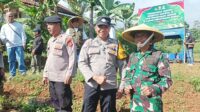 TNI-Polri Bersama Kelompok Tani Perkuat Ketahanan Pangan Melalui Penanaman Jagung di Arjasari