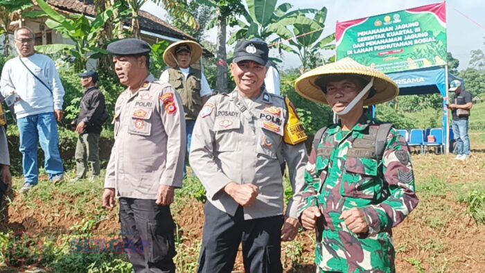 TNI-Polri Bersama Kelompok Tani Perkuat Ketahanan Pangan Melalui Penanaman Jagung di Arjasari