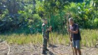 Babinsa Koramil 04/Tabundung Bantu Warga Bangun Pagar Kebun Sayur di Desa Billa
