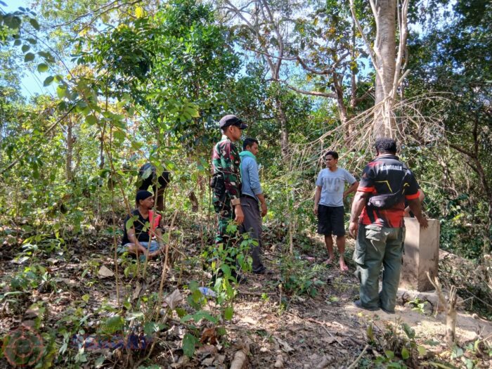 Cegah Kebakaran Hutan, Babinsa Koramil Tabundung Intensifkan Patroli Tapal Batas