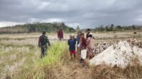Babinsa Lewa Dampingi Pengecekan Lahan untuk Pembangunan Irigasi Persawahan