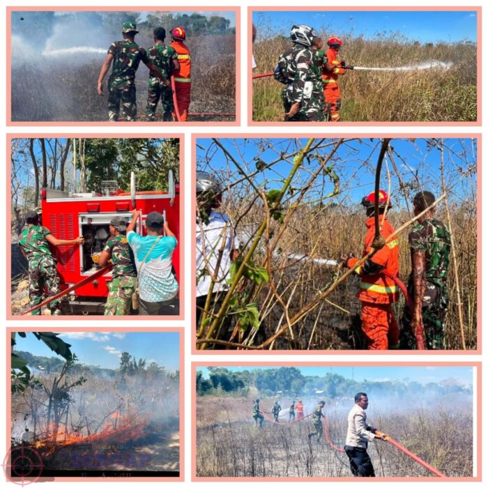 Gerak Cepat Yonif TP 930/Toda Tebi Tangani Kebakaran Hutan di Tiga Wilayah Sumba Tengah