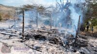 Rumah Warga di Mamboro Ludes Terbakar, Kerugian Ditaksir Puluhan Juta Rupiah