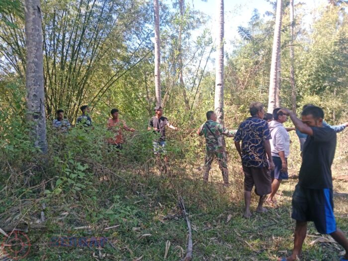 Pohon Kelapa Mengancam Jaringan Listrik, Babinsa dan Warga Karera Turun Tangan