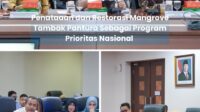 Penataaan dan Restorasi Mangrove Tambak Pantura Sebagai Program Prioritas Nasional