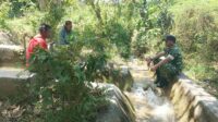 Kemarau Tekan Pasokan Air, Babinsa Pahunga Lodu Dorong Pemerataan Irigasi