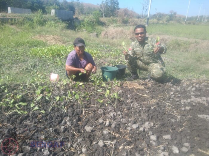 Babinsa Kopka Mukmin Matoke Ajak Petani Mauliru Optimalkan Lahan Pertanian