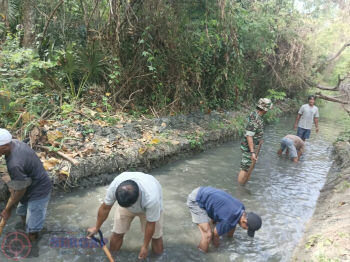 Babinsa Koramil 03/Pahunga Lodu Bersama Petani Bersihkan Saluran Irigasi untuk Lancarkan Aliran Air ke Sawah