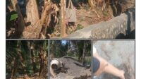 LSM Harimau Bongkar Sejumlah Sorotan di Proyek Irigasi Pendarungan, Dinas Diminta Bertindak