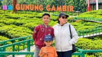 Explore Wisata Agro Rengganis Kebun Teh Gunung Gambir, Pesona Alam Sejuk di Jember