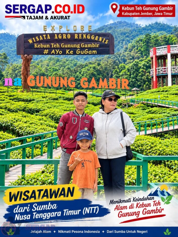Explore Wisata Agro Rengganis Kebun Teh Gunung Gambir, Pesona Alam Sejuk di Jember