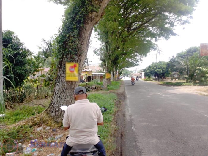Warga Minta Pemkab Nagan Raya Tertibkan Banner di Pohon Jalan Barsela