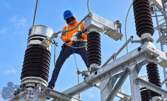 PLN Rawat GI Borong, Pasang Pengaman Satwa untuk Cegah Gangguan Listrik