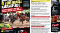 Dugaan Sabung Ayam di Boro Gragal Disorot
