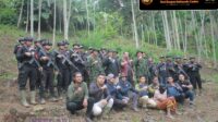 Semangat Sumpah Pemuda, BNNP Aceh Ungkap Ladang Ganja Seluas 18 Hektare di Aceh Utara