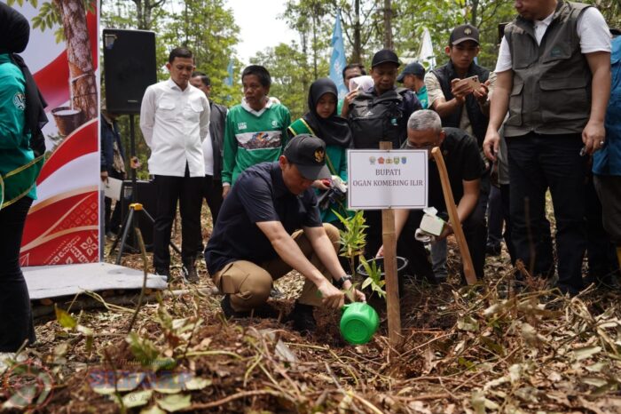 Dua Dekade Bebas Karhutla, Restorasi Lahan Gambut di Sepucuk OKI Jadi Rujukan Nasional