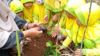 Sinergi Lintas Sektor Padati Aksi Junam di Cisarua, Gelorakan Semangat "Kita Merawat Bumi, Bumi Menjaga Kita"